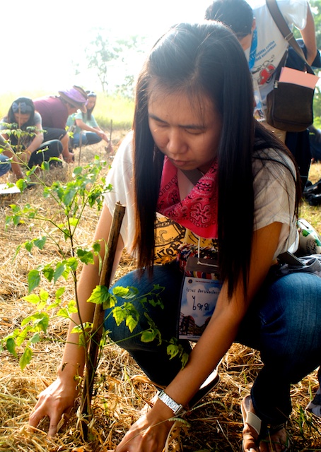 tree planting