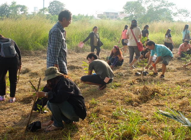 tree planting