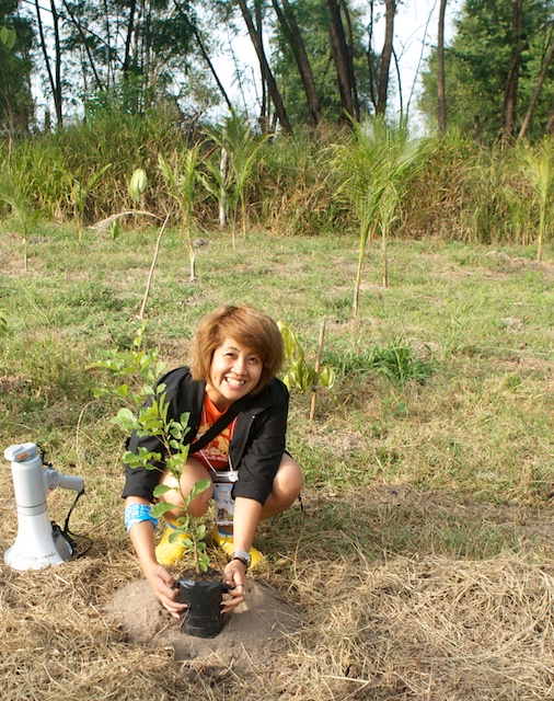 tree planting