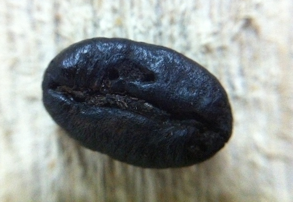 olloclip macro