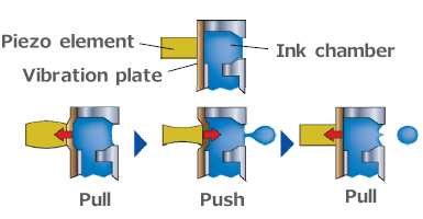 Piezoelectric printer head