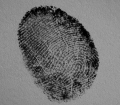 fingerprint