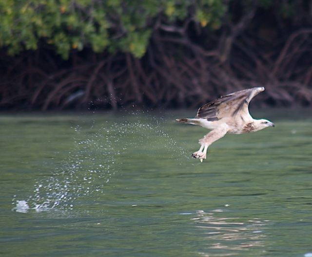 Langkawi3