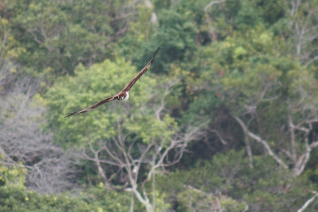 Langkawi3