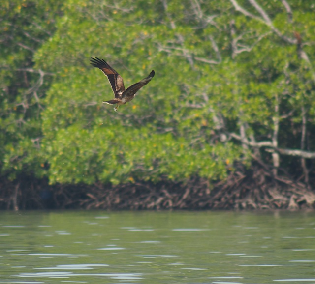 Langkawi3