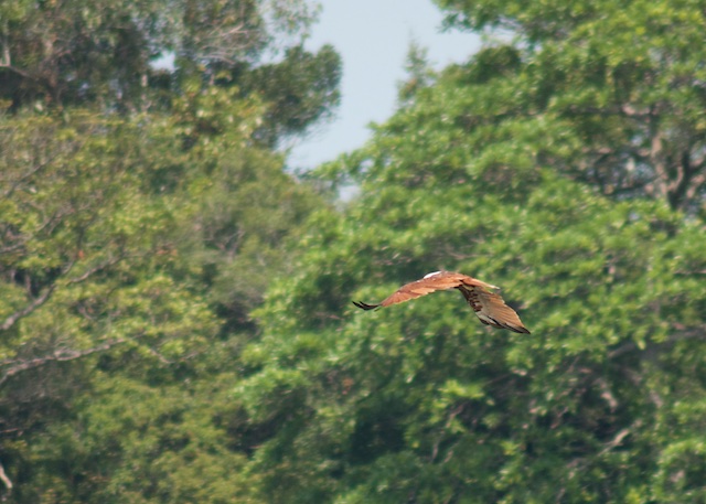 Langkawi3