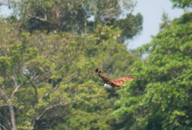 Langkawi3