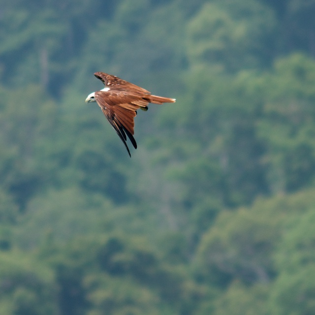 Langkawi3