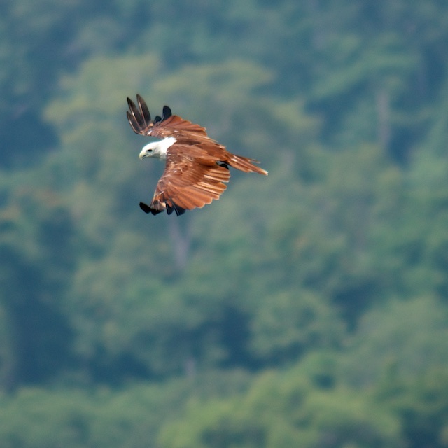 Langkawi3