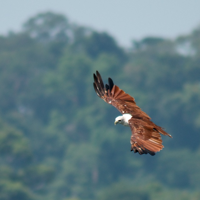 Langkawi3