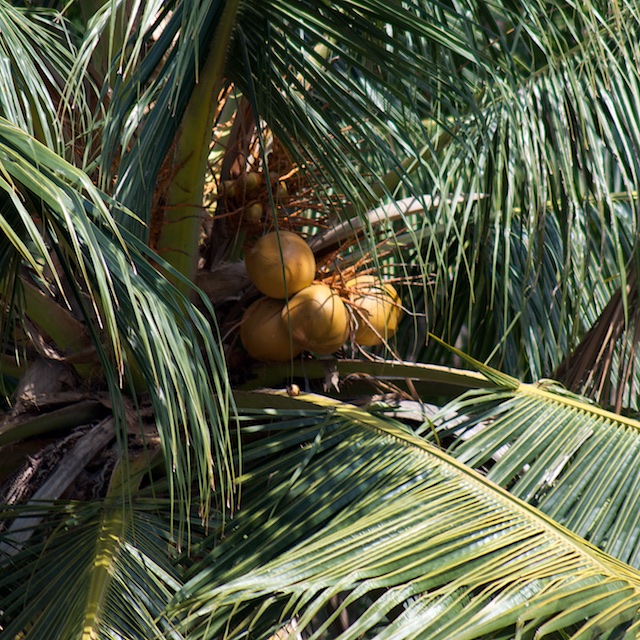 Langkawi