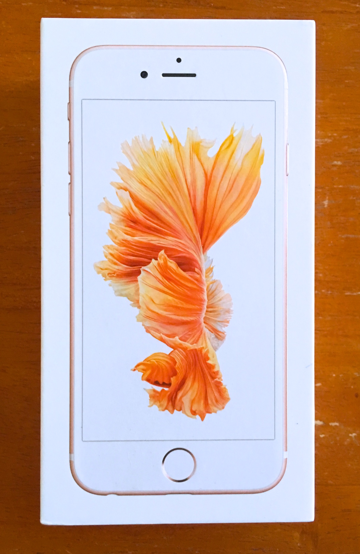 iPhone 6s box