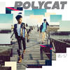 Polycat