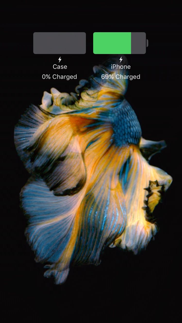 iPhone Smart Case charging
