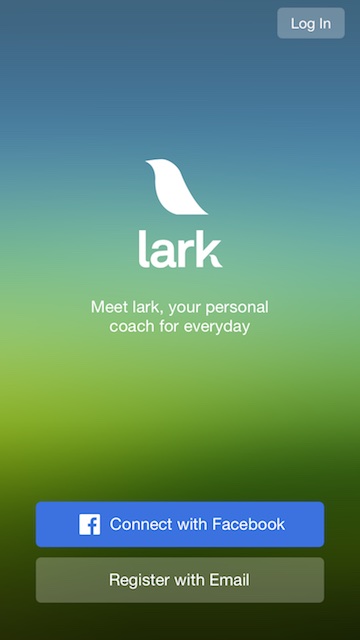 Lark