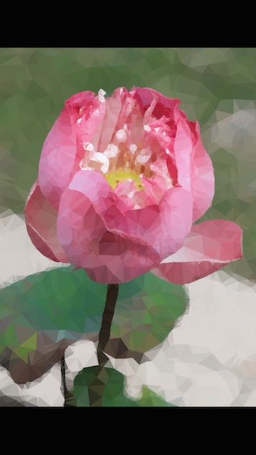 Trigraphy