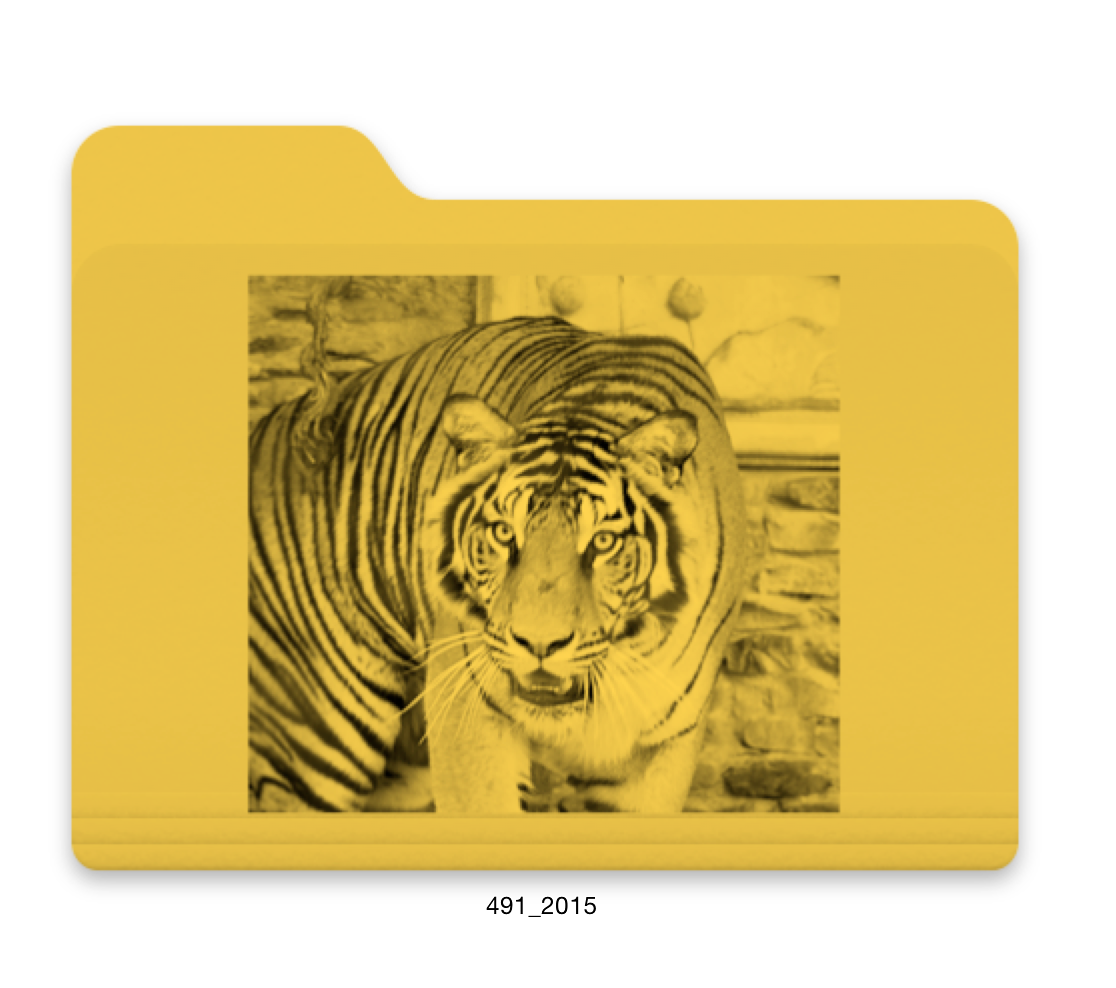 yellow tiger folder