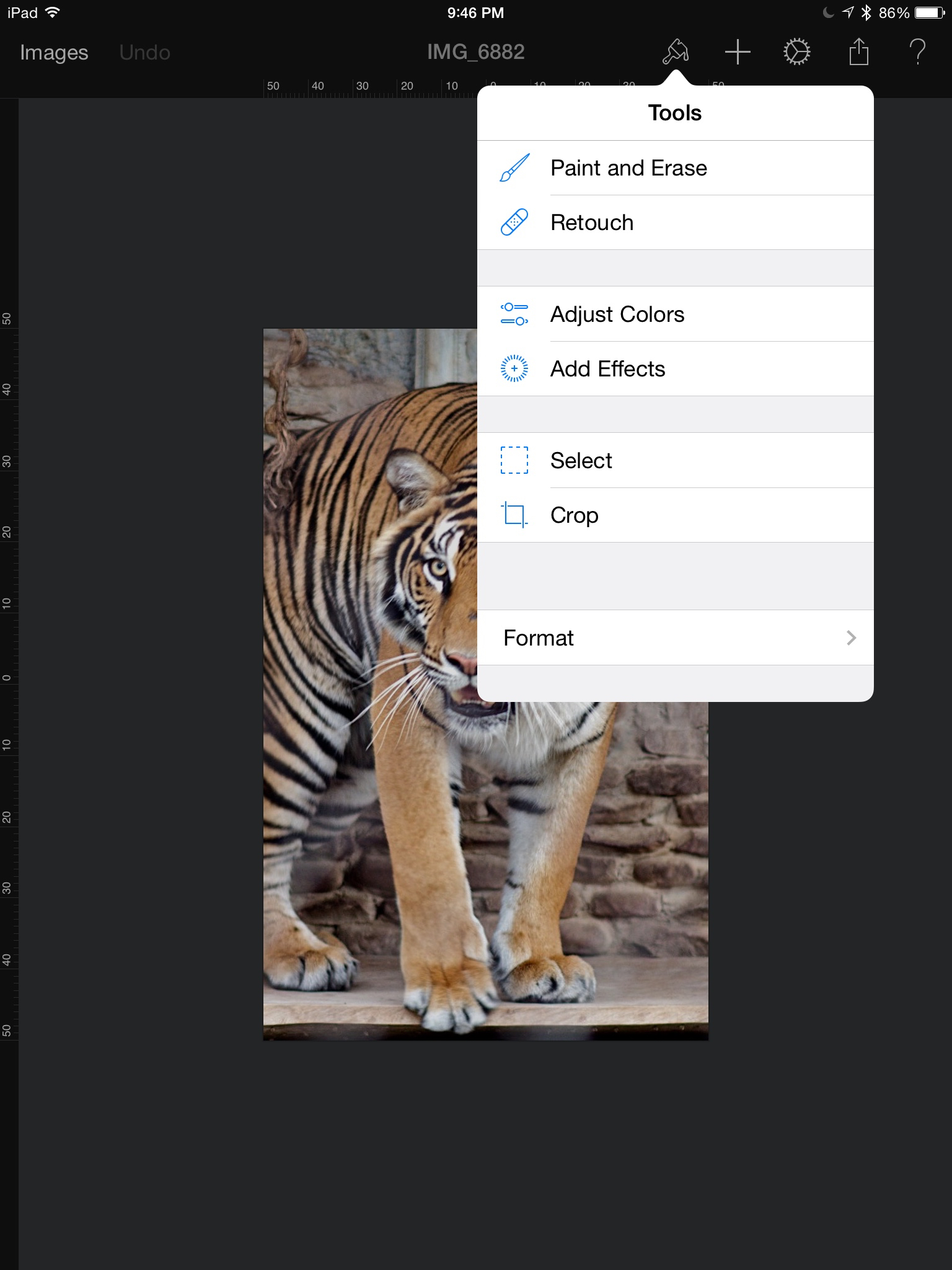 Pixelmator for iPad