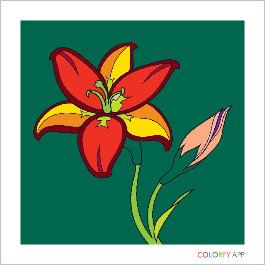 Colorfy