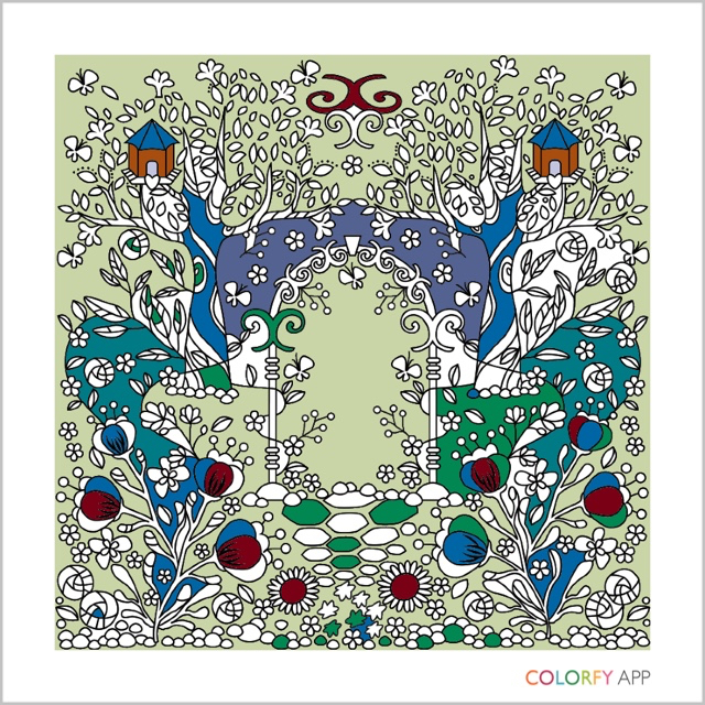 Colorfy