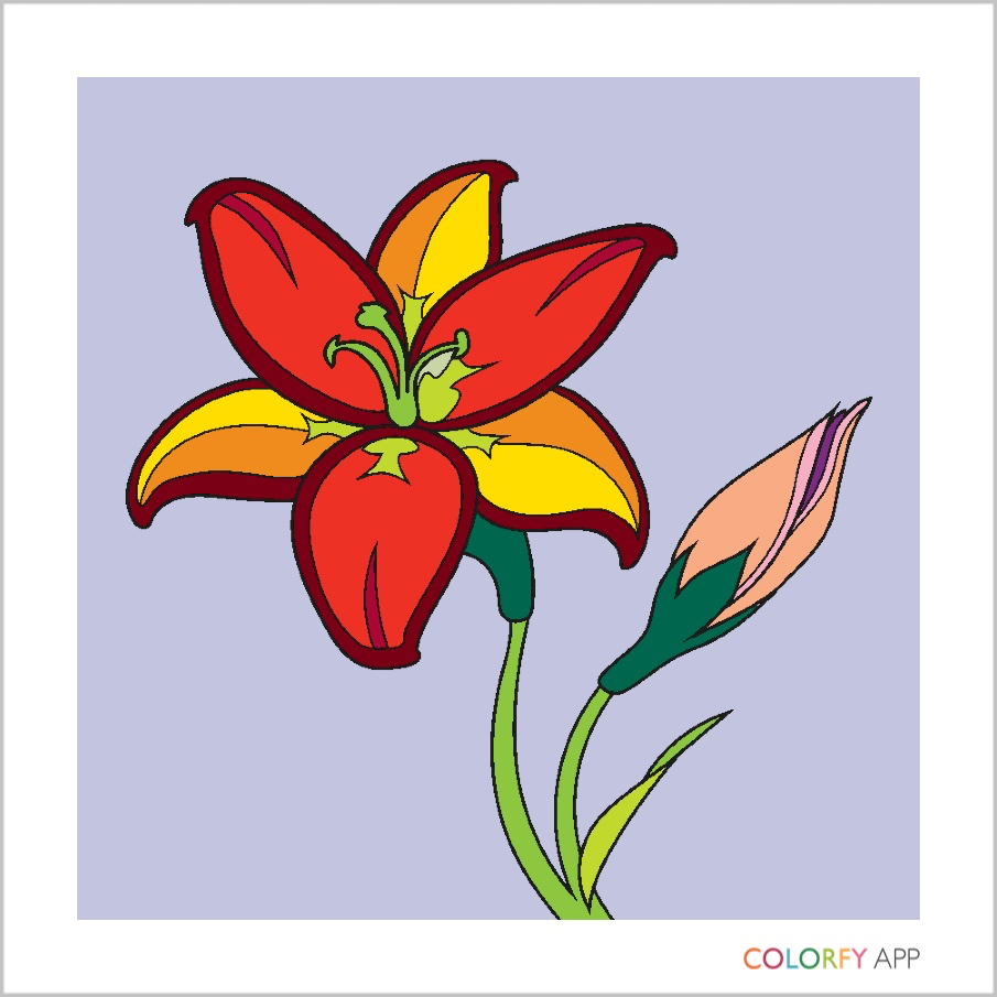 Colorfy