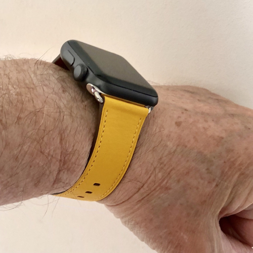 Canary Yellow Band