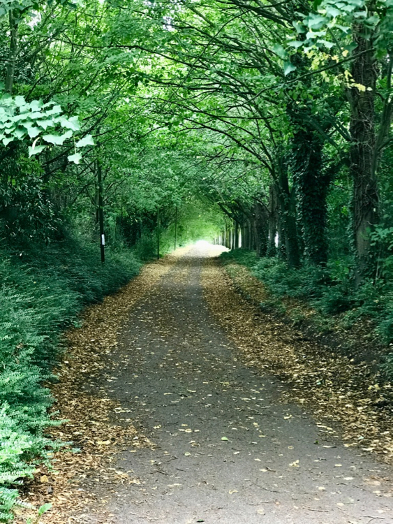 footpath