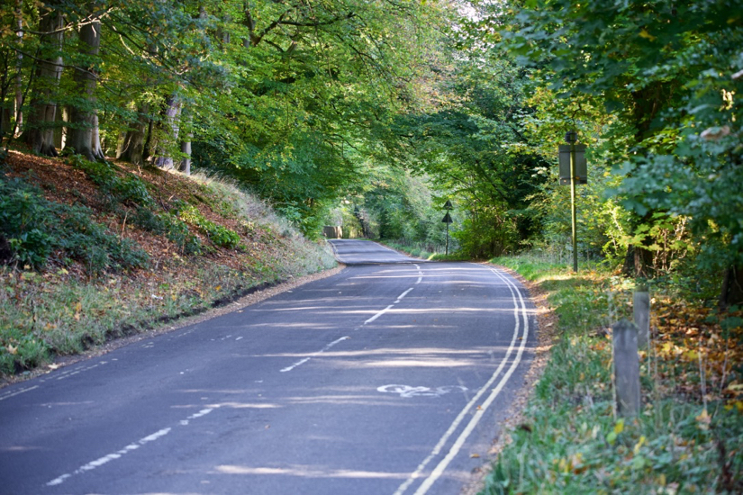 Plantation Road