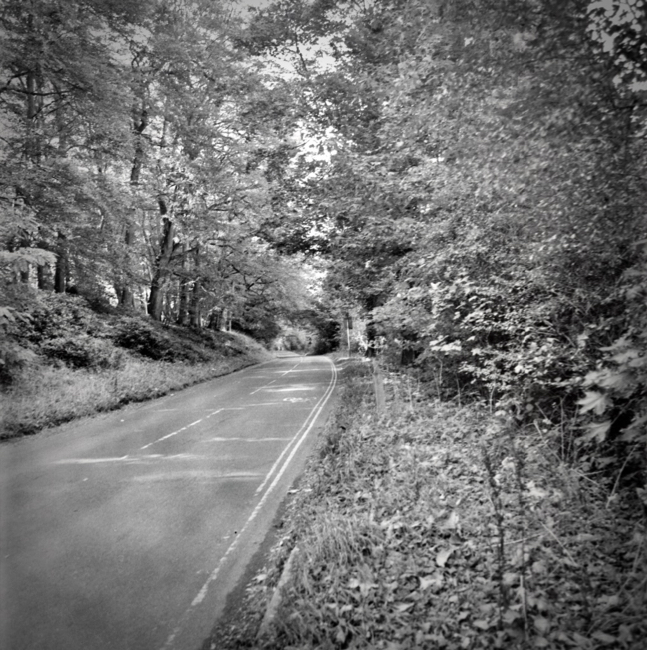 Plantation Road