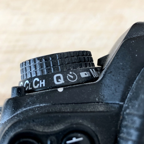 D7000 controls