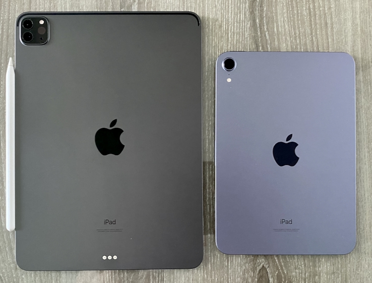  Slate Gray iPad Pro and purple iPad mini