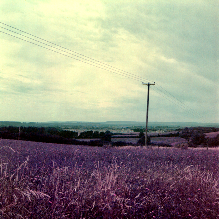 Lomo Purple