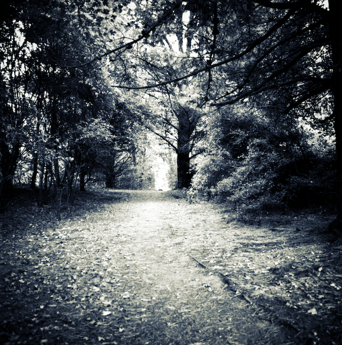 trees and attenuation