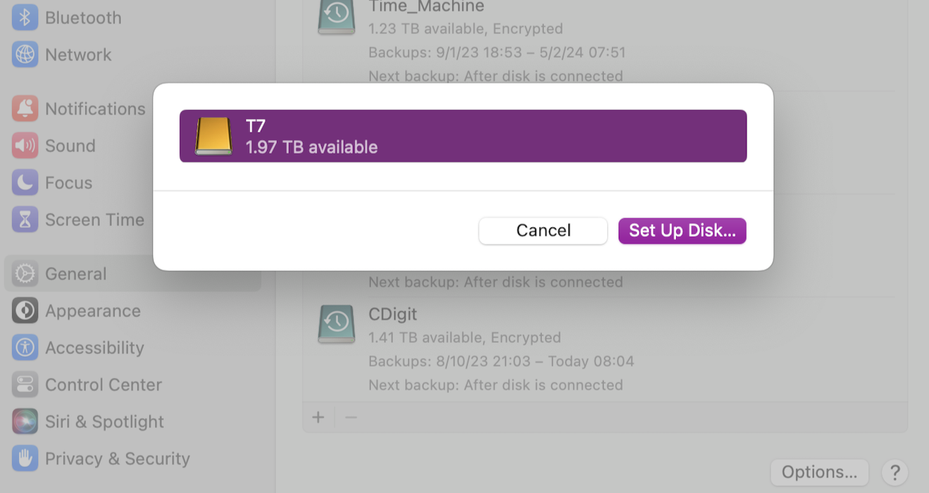 Time Machine panel when new disk is accessed