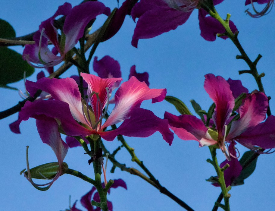 photo using 1:1 sensor settings