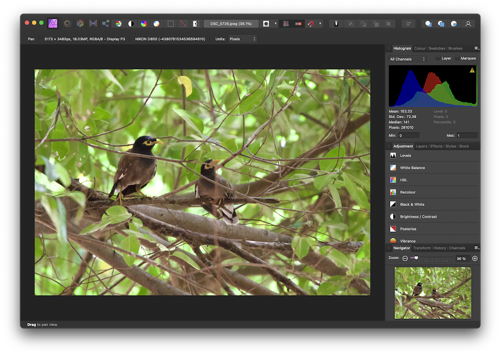 Affinity Photo