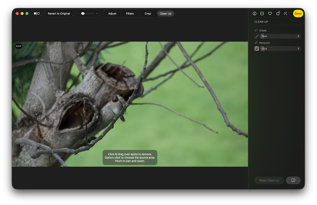 CleanUp in macOS Tahoe