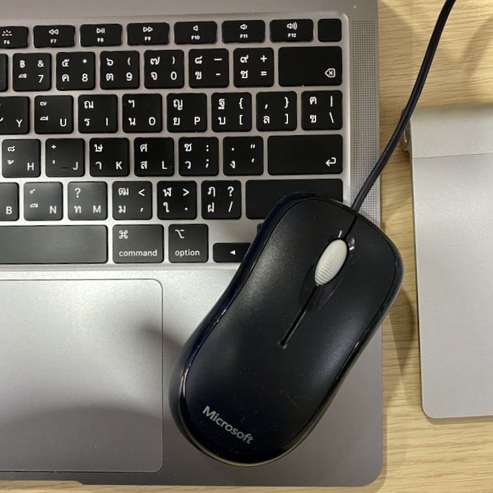 mouse