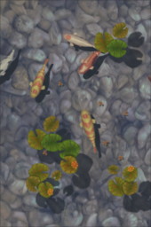 Koi Pond