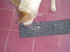 DSC00502.JPG