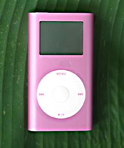 iPod mini