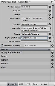 Aperture metadata panel