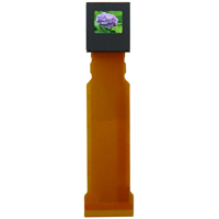 Ultimicron
