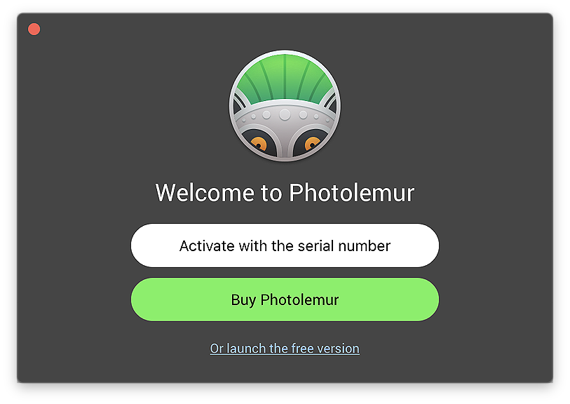 Photolemur