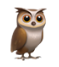 Howard Oakley owl screenshot