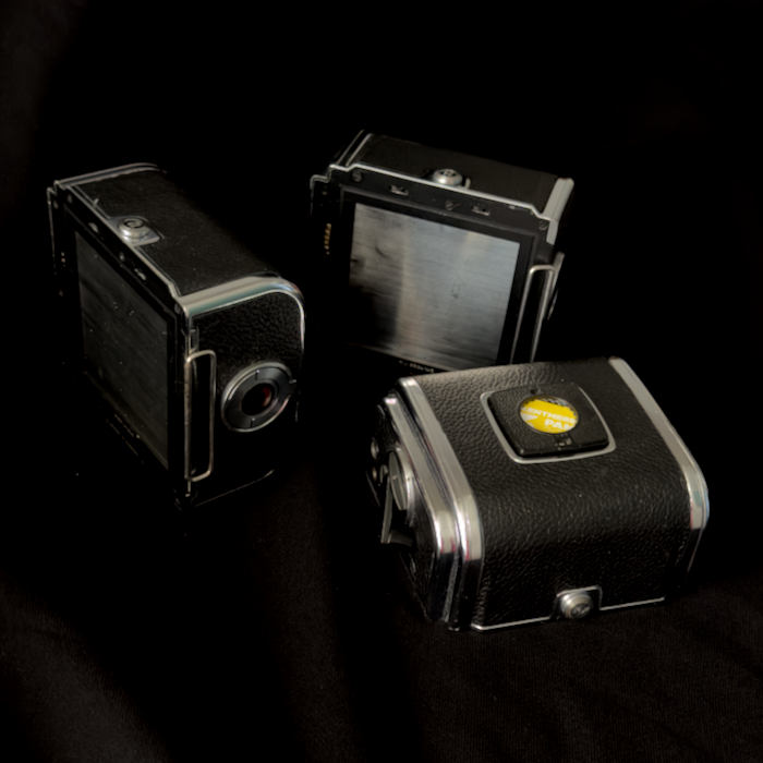 Hasselblad film back
