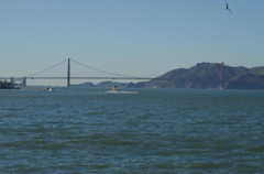 DSC_0014.NEF